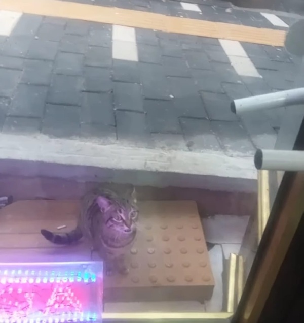 Kahramanmaraş’ın Andırın ilçesinde, Ramazan ayının ruhuna yakışır bir merhamet hikâyesi yaşandı. İlçe