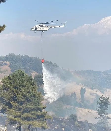 Kahramanmaraş’ın Onikişubat ilçesinde ormanlık alanda çıkan yangını kontrol altına almak