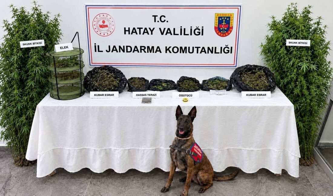 Hatay İl Jandarma Komutanlığı ekipleri tarafından uyuşturucu madde imal ve