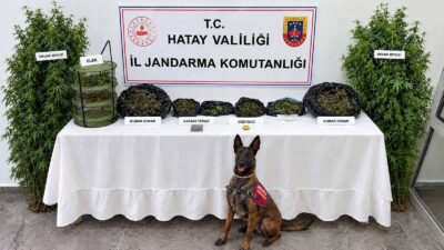 Hatay İl Jandarma Komutanlığı ekipleri tarafından uyuşturucu madde imal ve